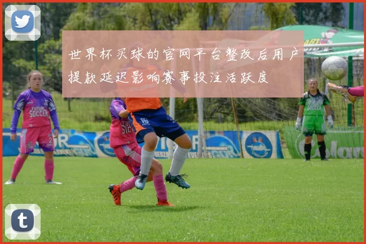 世界杯买球的官网平台整改后用户提款延迟影响赛事投注活跃度