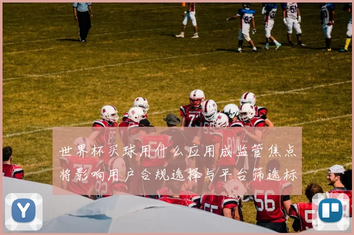 世界杯买球用什么应用成监管焦点将影响用户合规选择与平台筛选标准